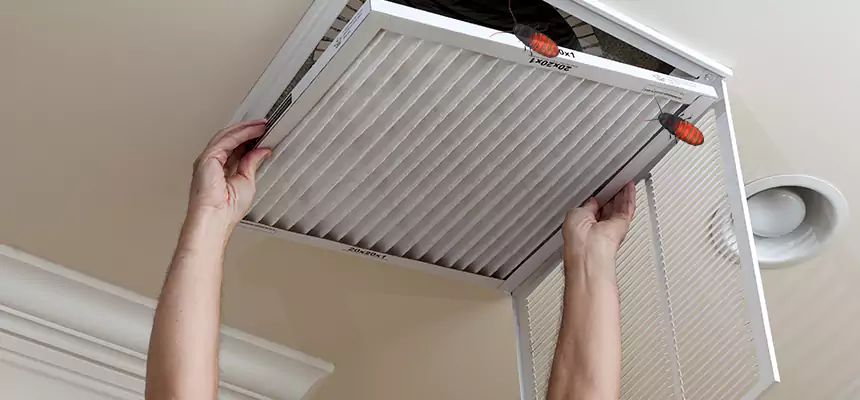 Preventive Cockroach-Proofing for Ducts in Ocean Acres