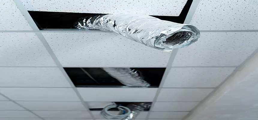 Affordable HVAC Sanitizing After Pest Removal in Ocean Acres