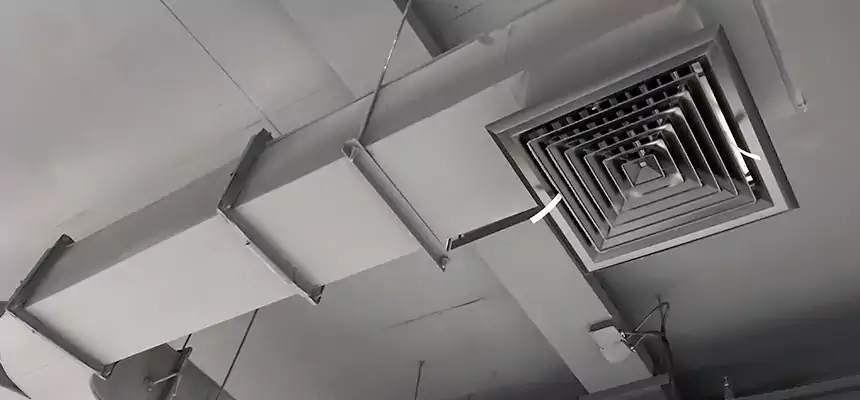 Restorative Allergy Relief Vent Cleaning – Coil, Blower & Housing Detail in Ocean Acres