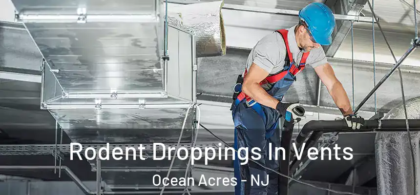  Rodent Droppings In Vents Ocean Acres - NJ
