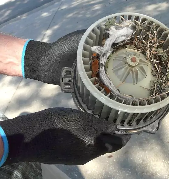 About Air Duct Rat Removal in Ocean Acres, NJ