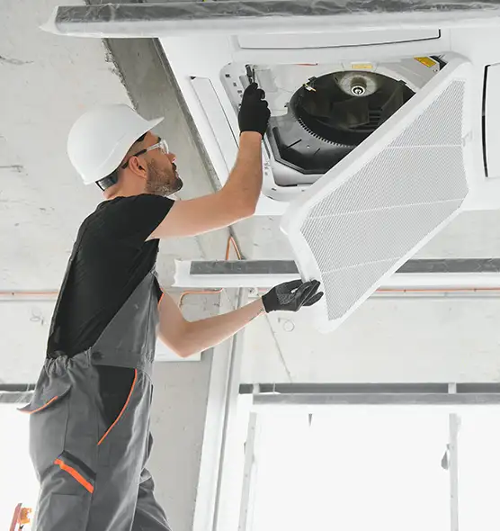 About Air Duct Rodent Removal in Ocean Acres, NJ