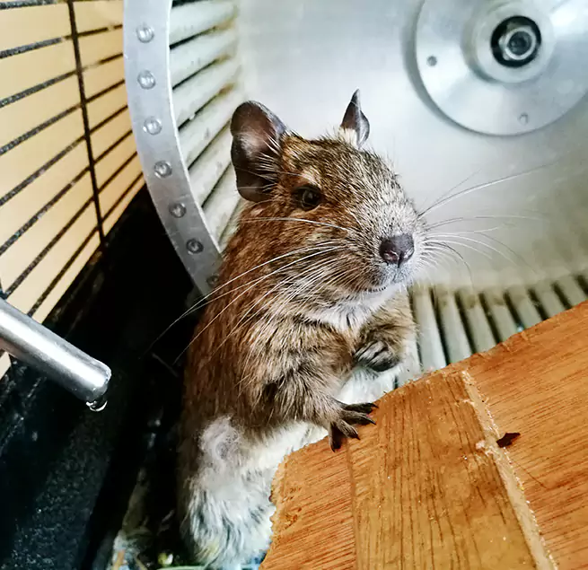 Why Homeowners & Businesses Trust Us Ocean Acres, NJ?